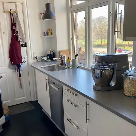 Apartman Cozy Close To And Parks Odense